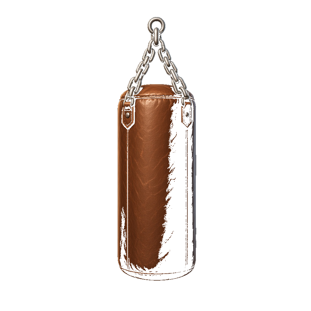 Punching bag